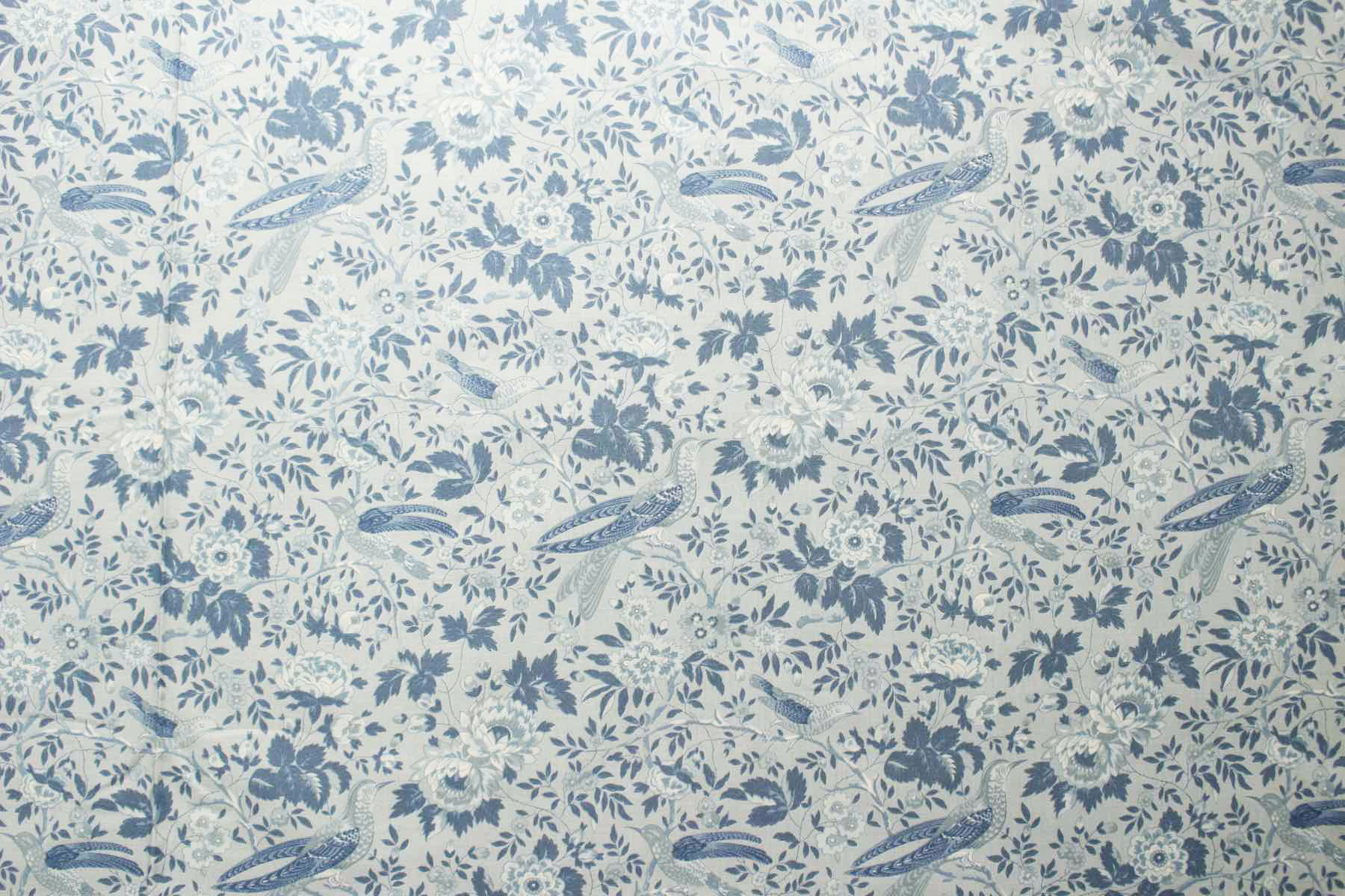 Jpi　Bleu De France　Valliere<br />シェルブル-